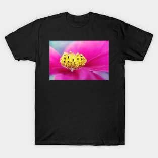 Hot Pink Cosmos T-Shirt